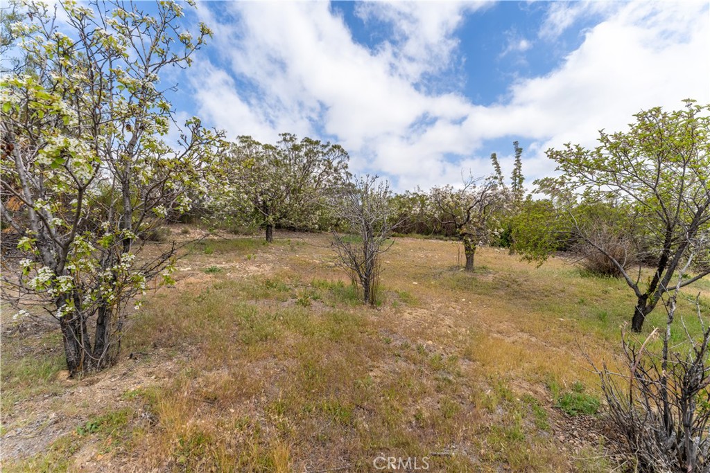 29972 Chihuahua Valley Road