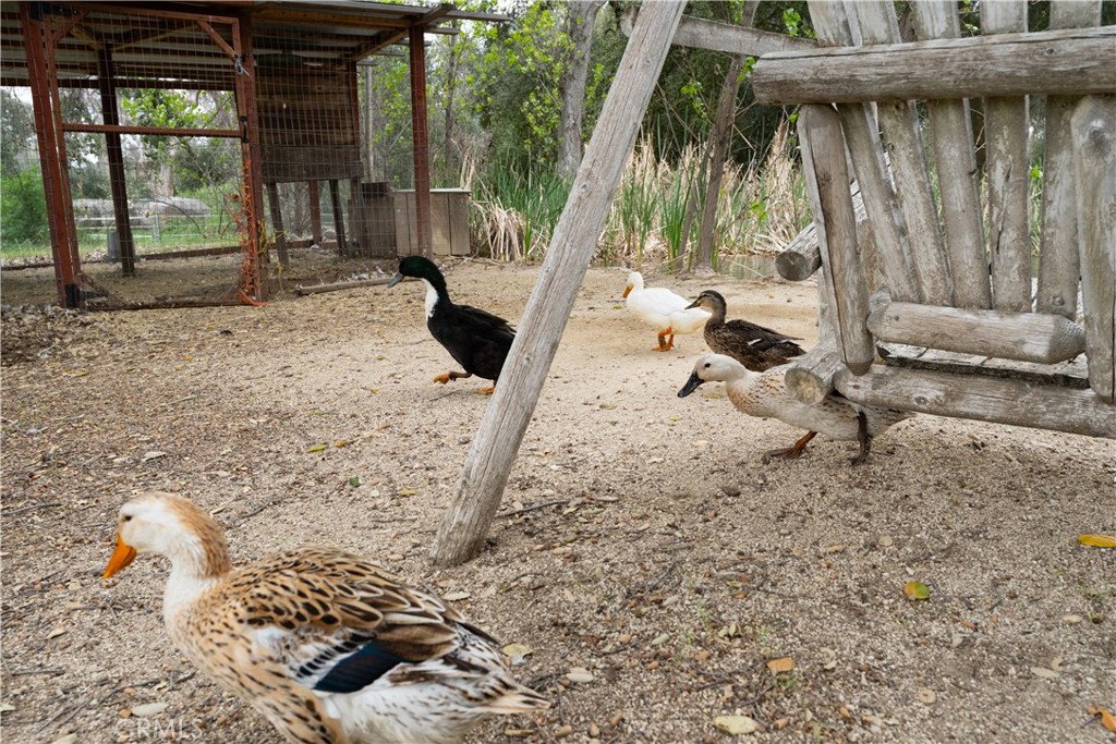 29972 Chihuahua Valley Road