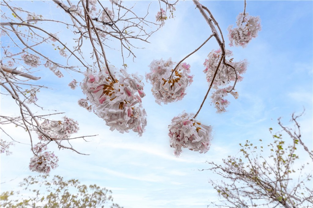 29972 Chihuahua Valley Road