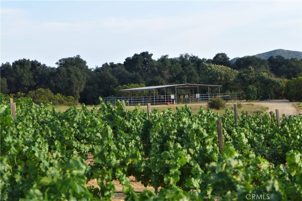 29972 Chihuahua Valley Road