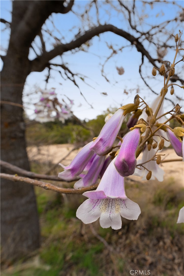 29972 Chihuahua Valley Road
