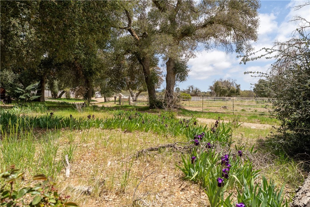 29972 Chihuahua Valley Road