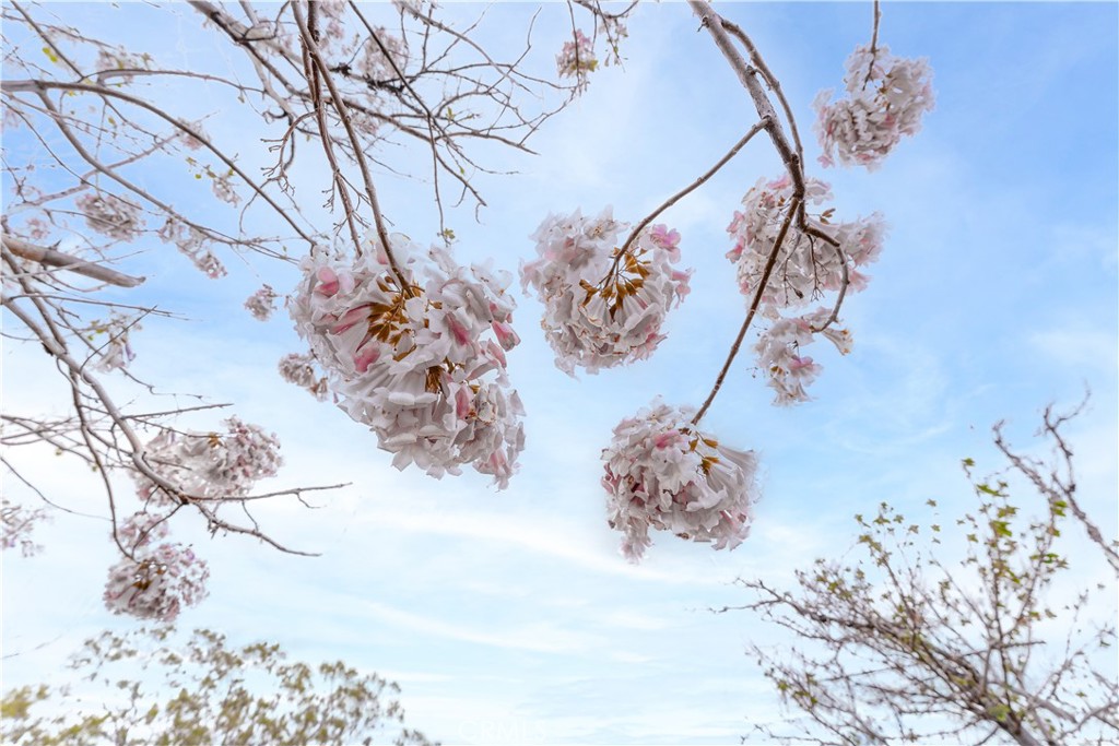 29972 Chihuahua Valley Road