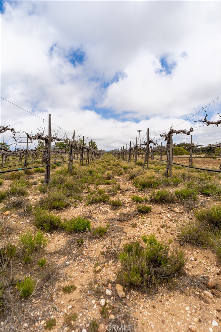 29972 Chihuahua Valley Road