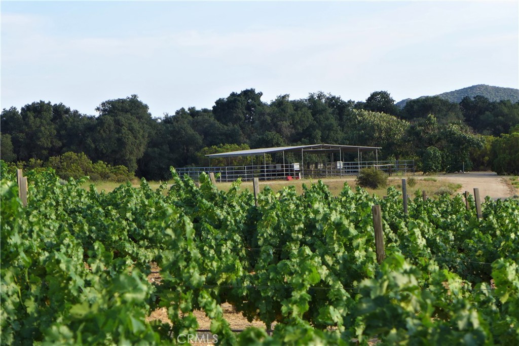 29972 Chihuahua Valley Road