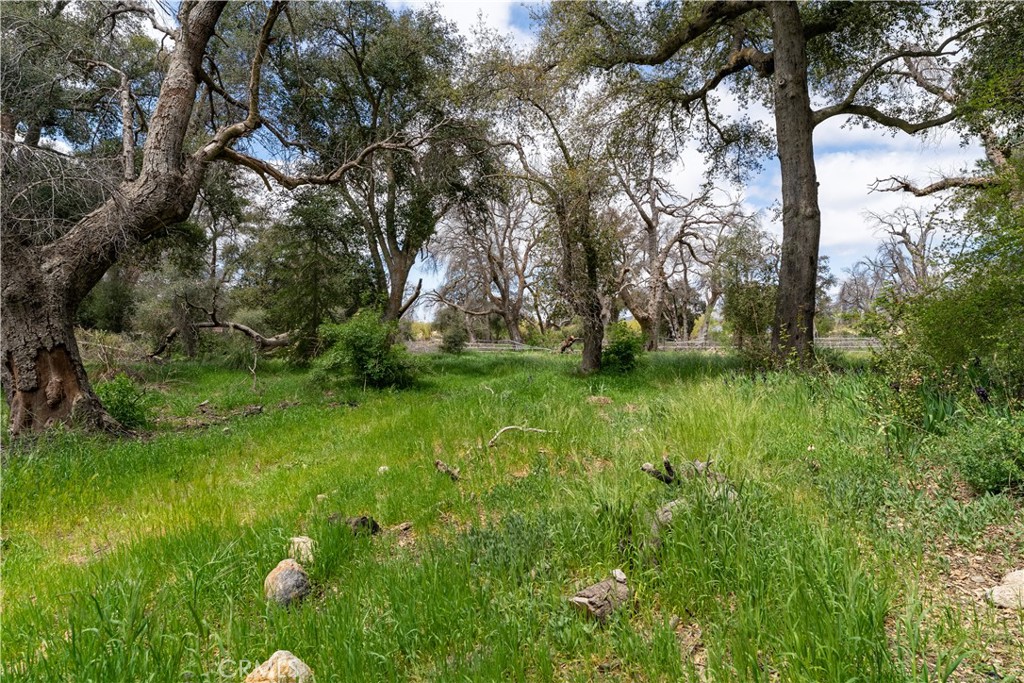 29972 Chihuahua Valley Road