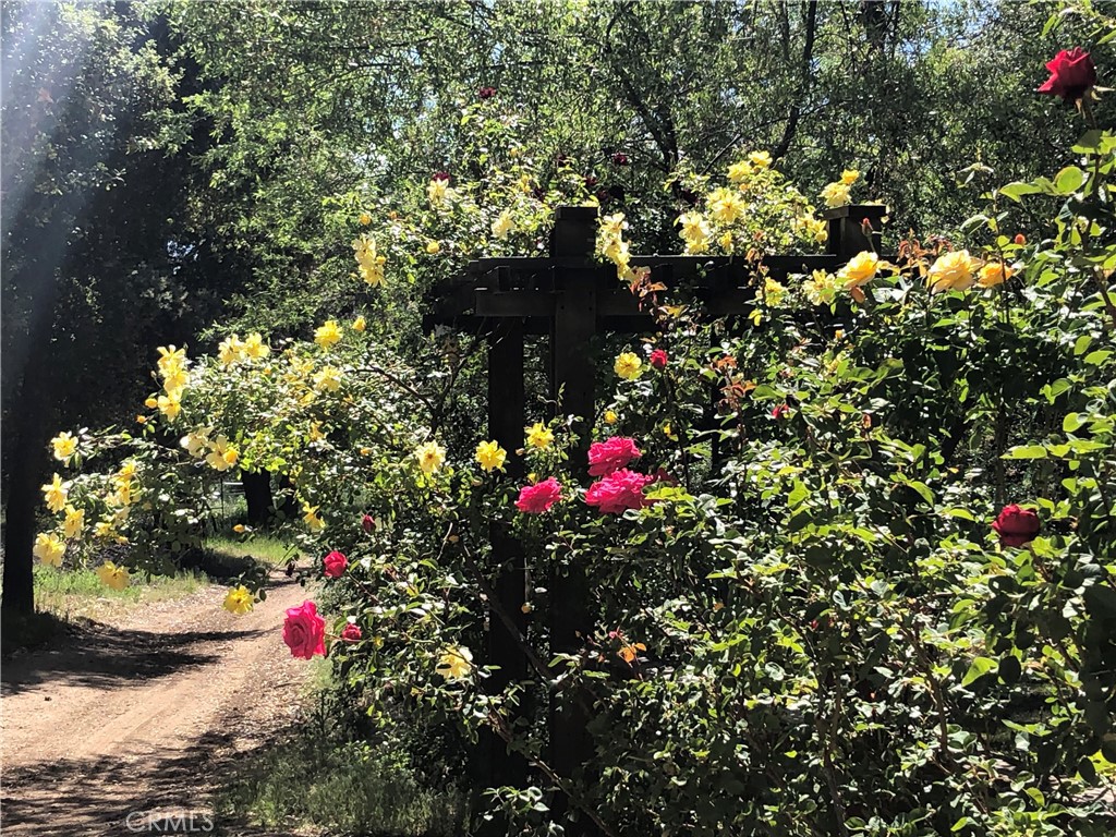 29972 Chihuahua Valley Road