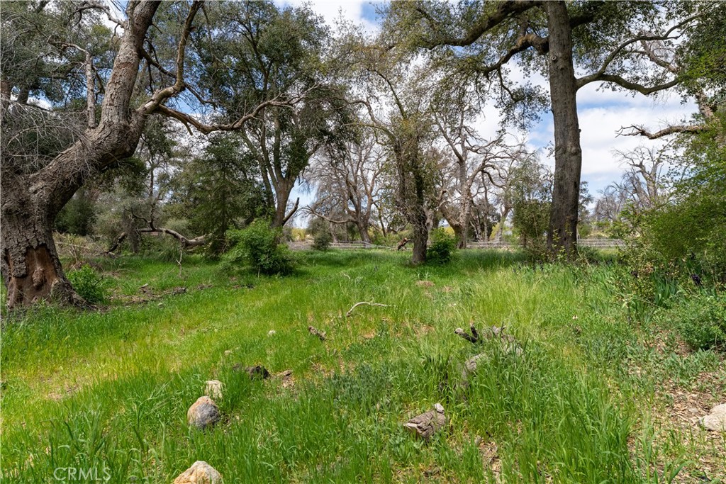 29972 Chihuahua Valley Road