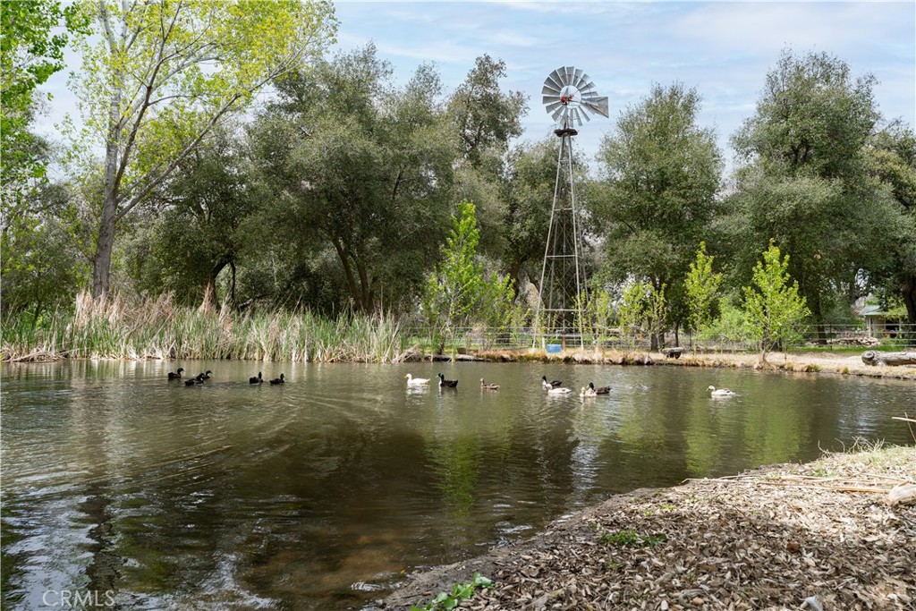 29972 Chihuahua Valley Road