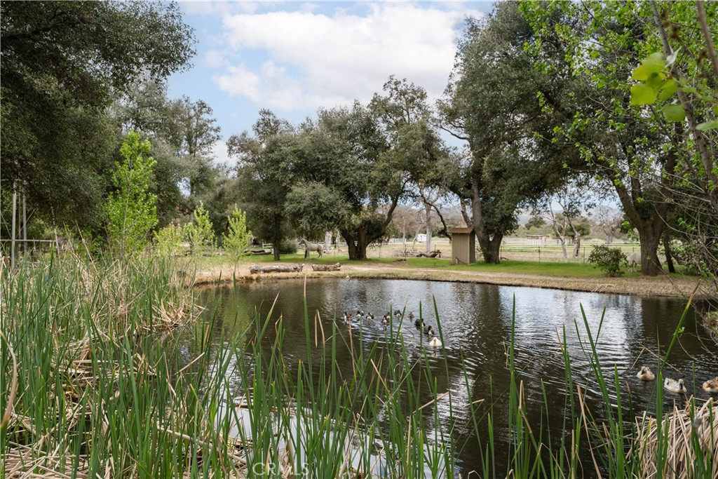 29972 Chihuahua Valley Road