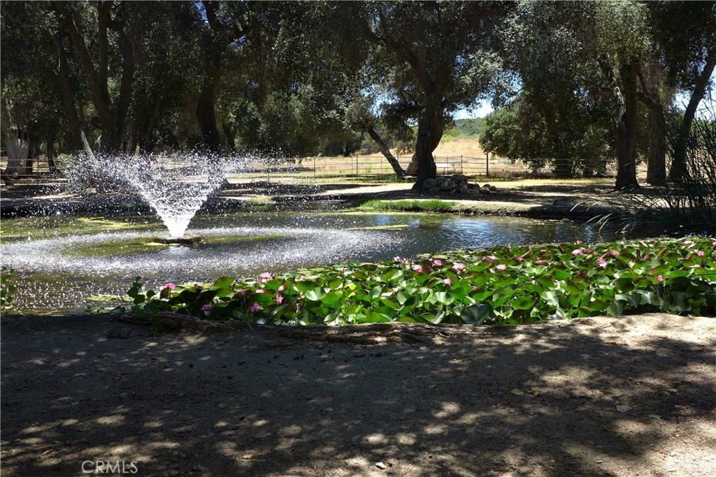 29972 Chihuahua Valley Road