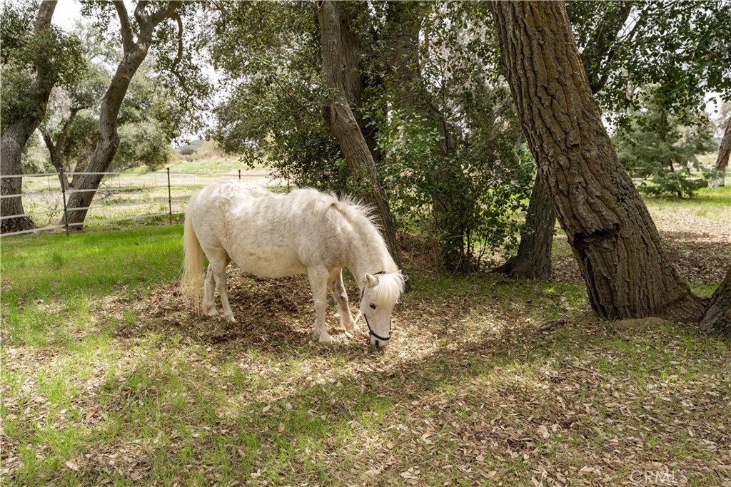 29972 Chihuahua Valley Road
