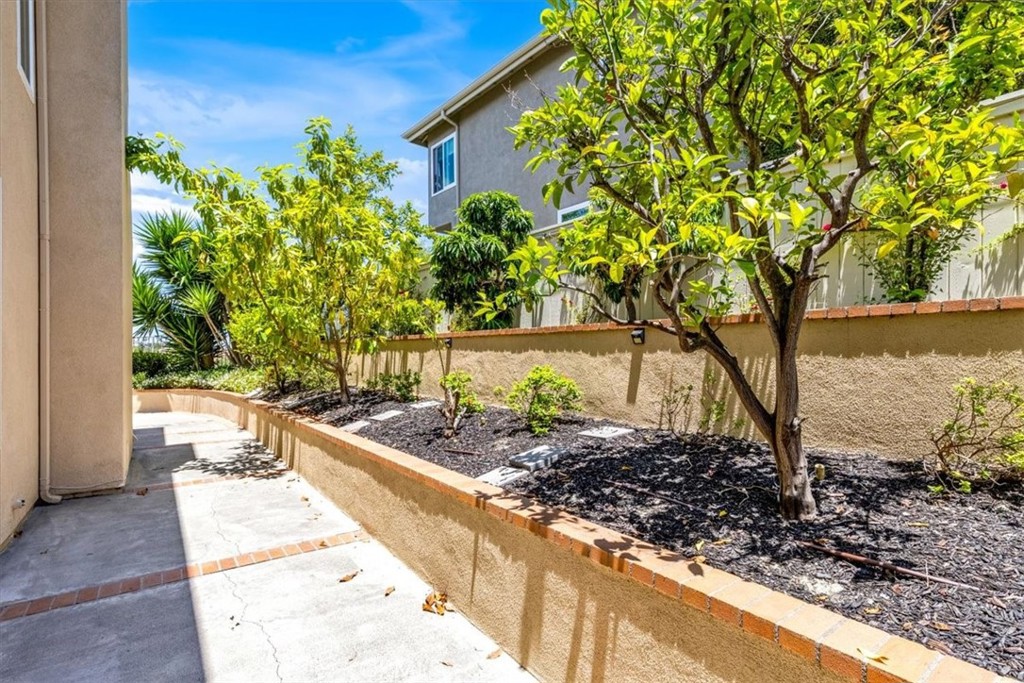 77 Rockrose