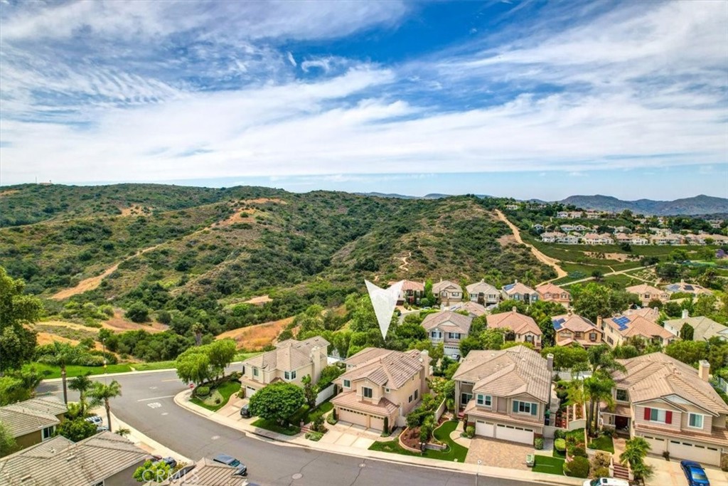77 Rockrose