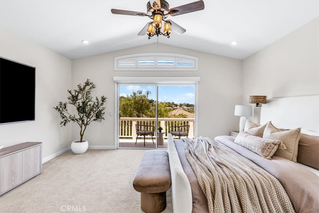 77 Rockrose