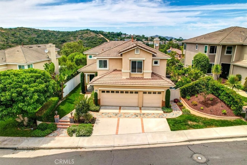77 Rockrose