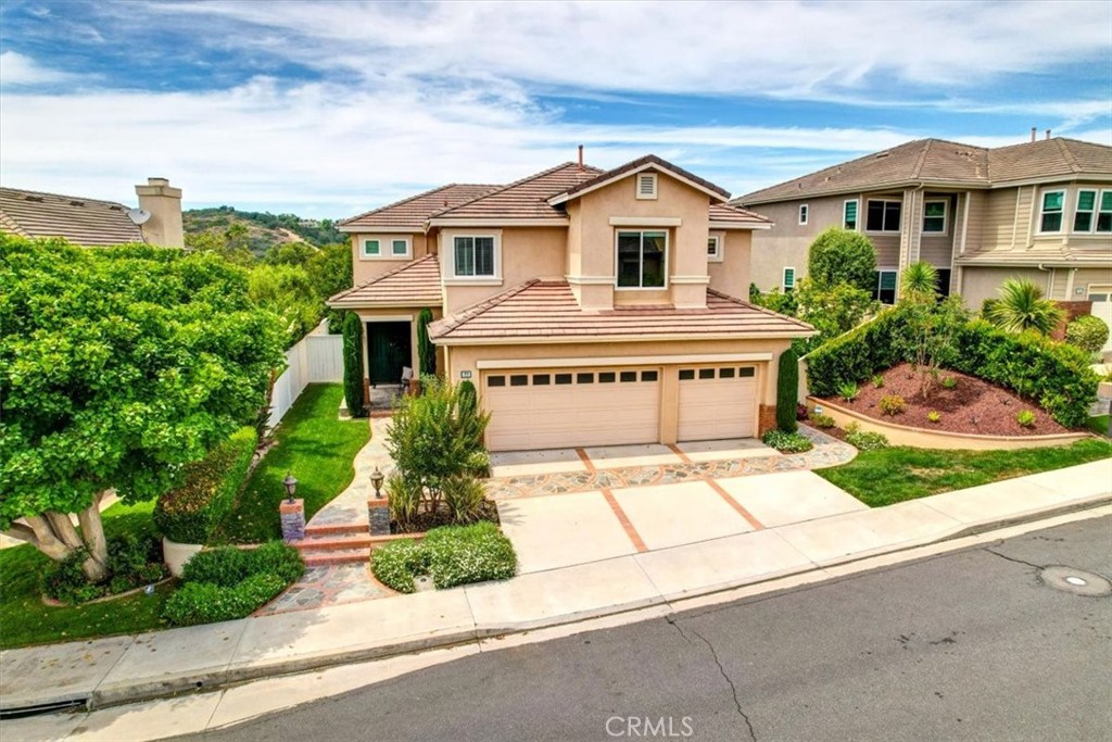 77 Rockrose