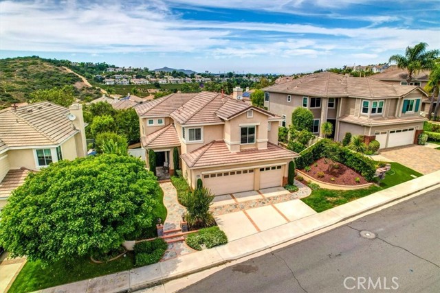 77 Rockrose