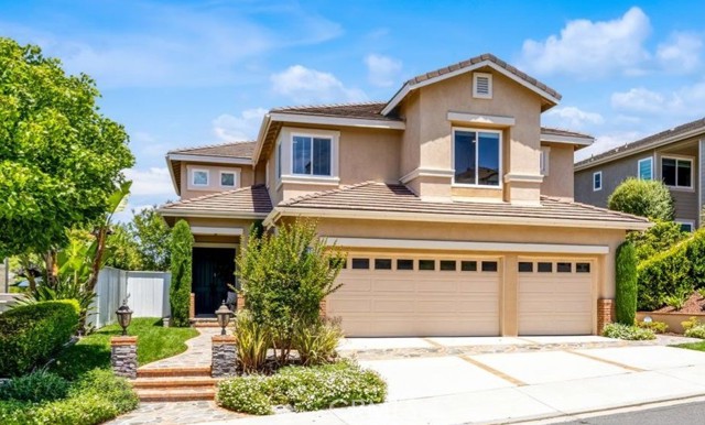 77 Rockrose