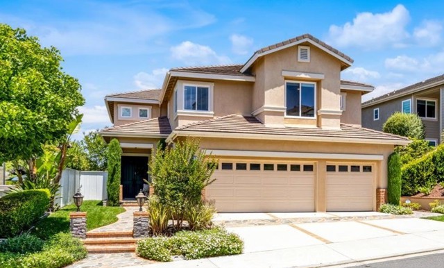 77 Rockrose