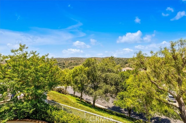 77 Rockrose