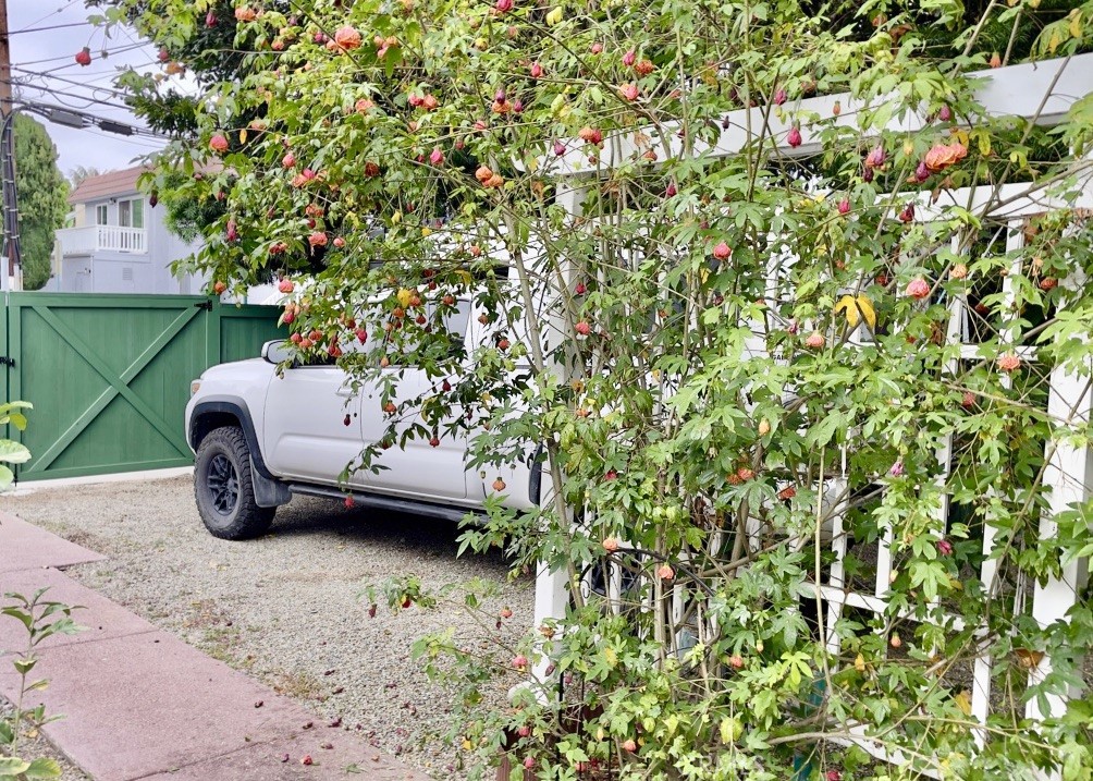 24932 La Cresta Drive