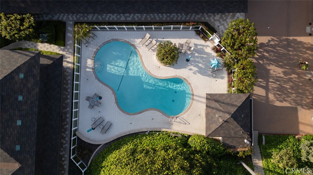 75 Blue Lagoon