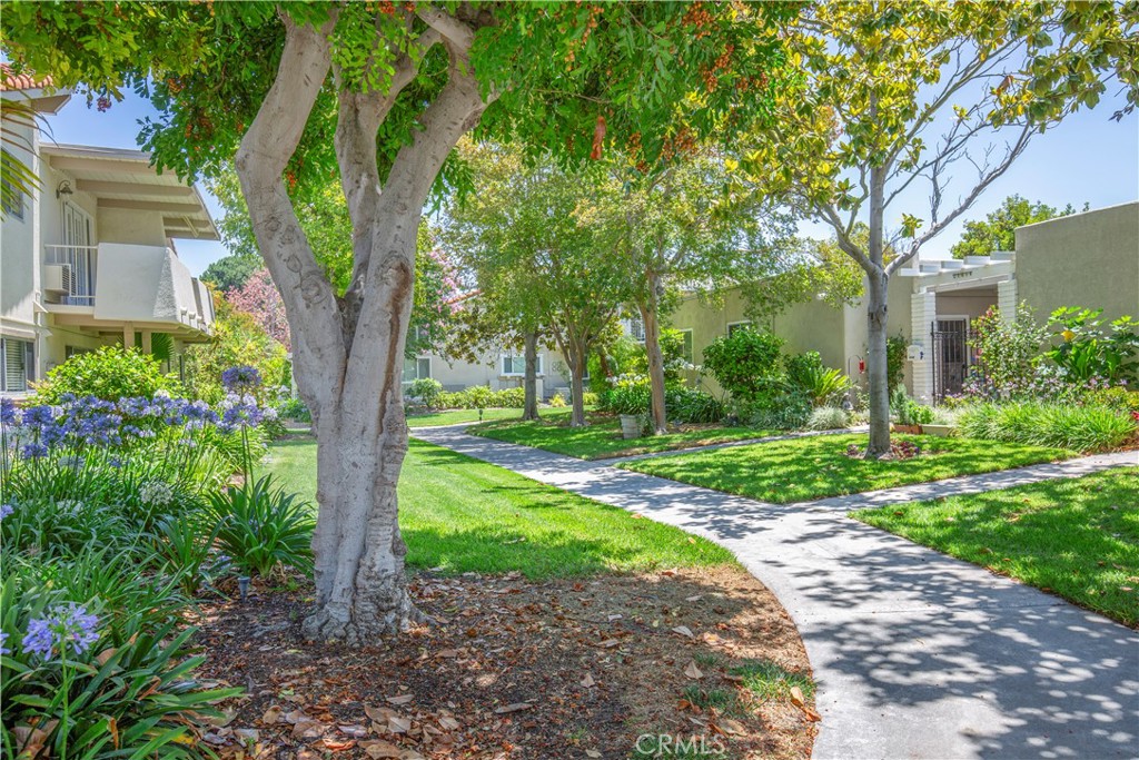 2164 Via Mariposa E D