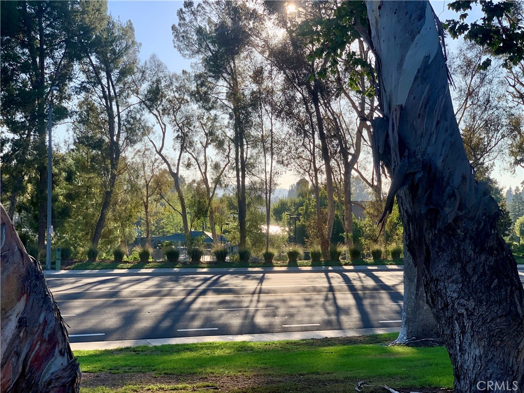 24826 Lakefield Street