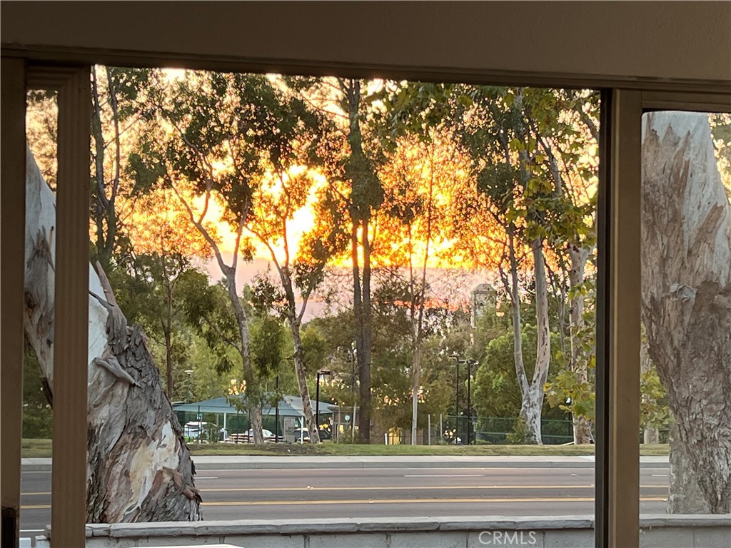 24826 Lakefield Street