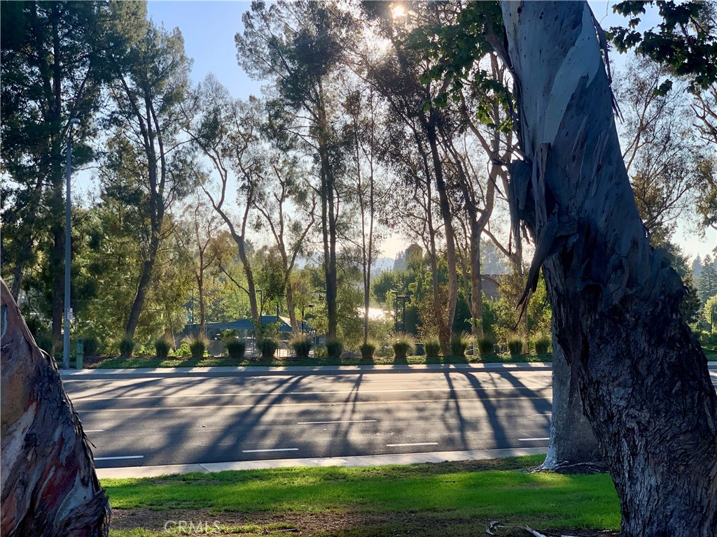 24826 Lakefield Street