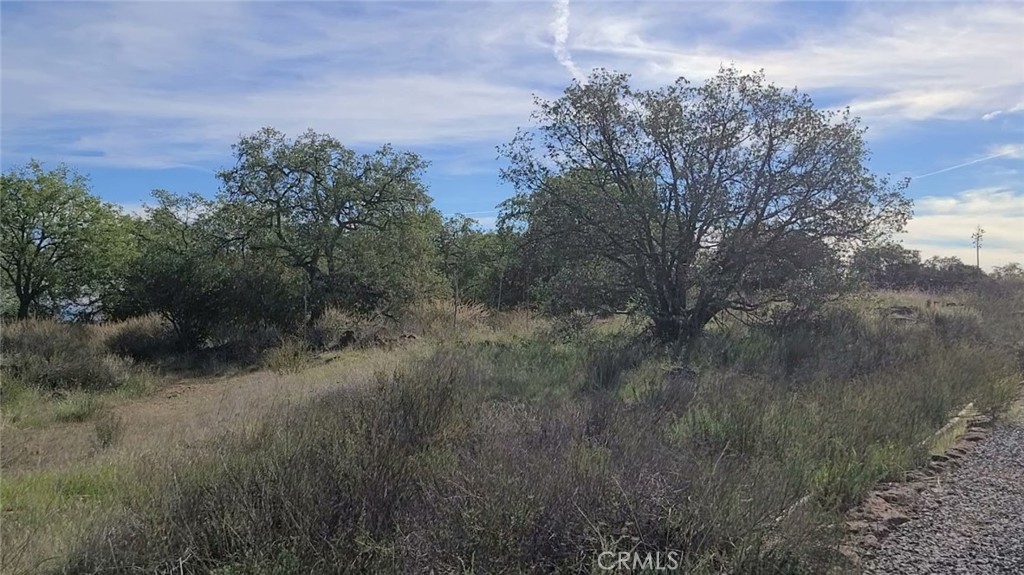 39280 Redonda Mesa