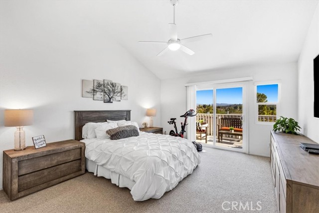 26 Windflower
