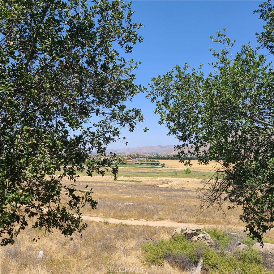 29712 Mesa Verde