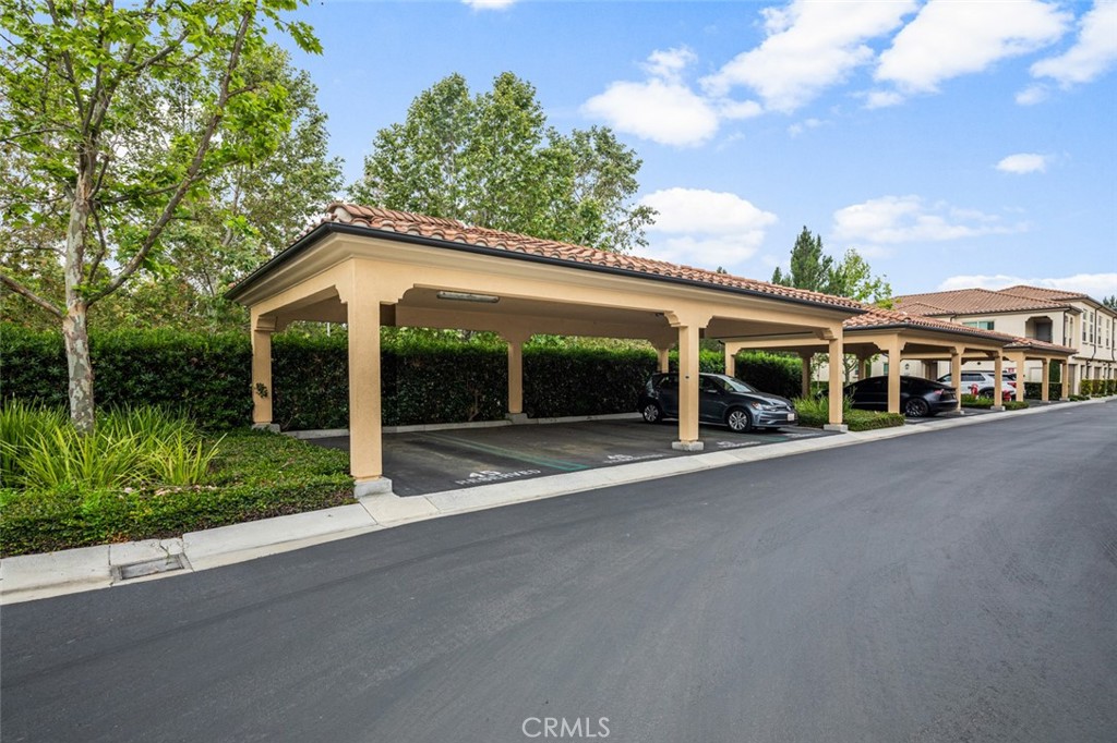102 Rose Arch