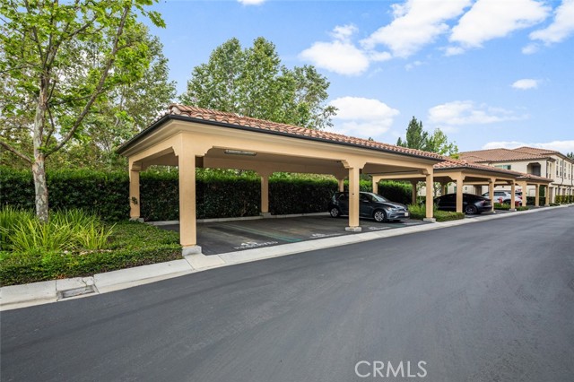 102 Rose Arch