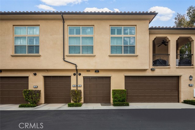 102 Rose Arch