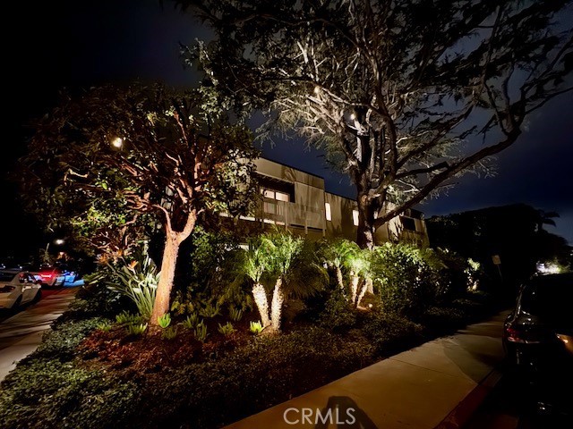 396 Cypress C