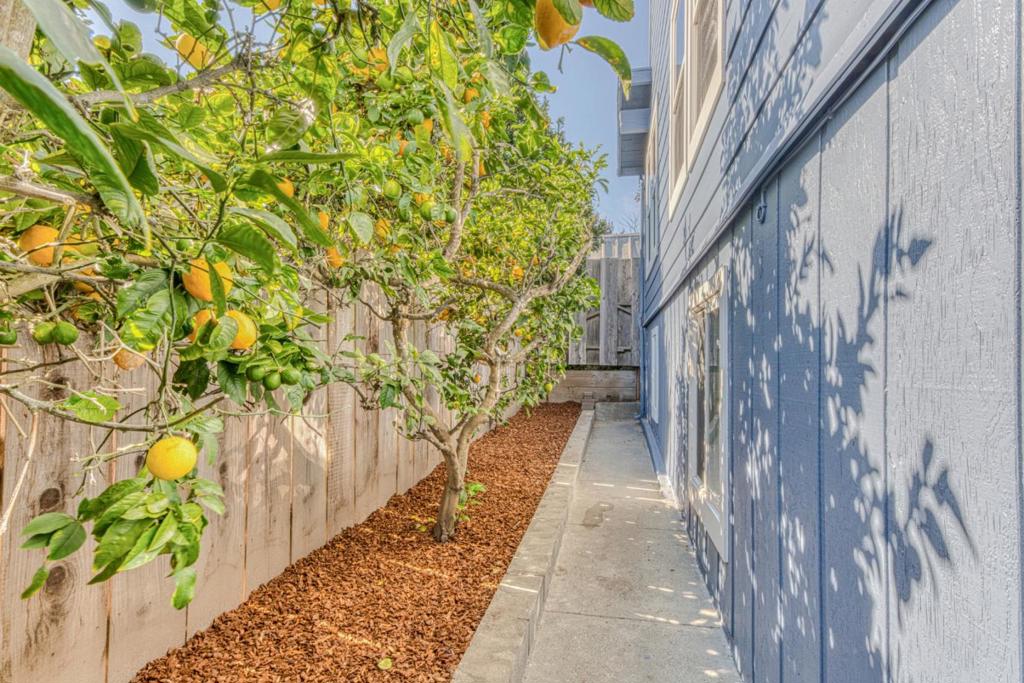 953 W Franklin Street
