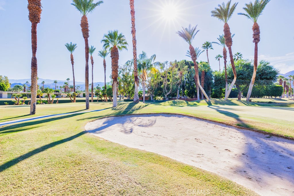 73700 Grapevine Street 6