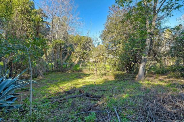 239 Lyon Circle