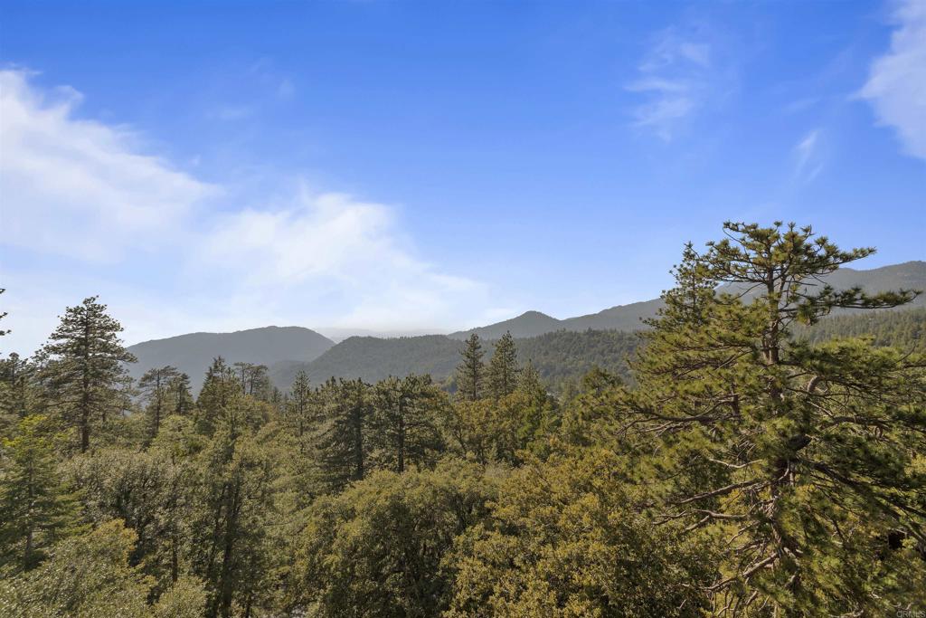 53025 Woodpecker Way