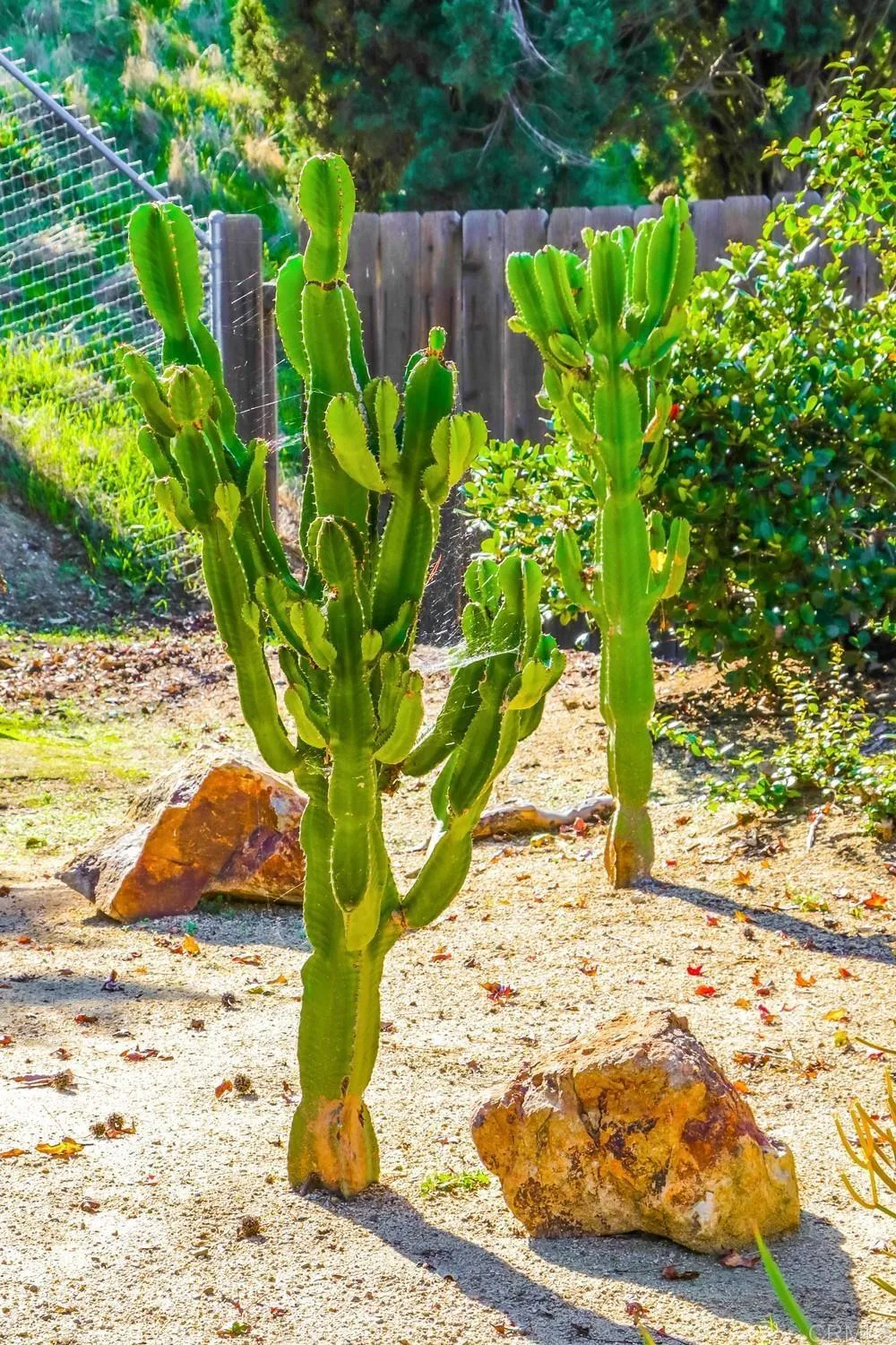 10213 Corte Tierra Baja