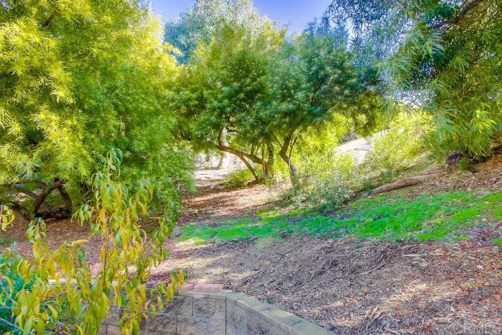 10213 Corte Tierra Baja