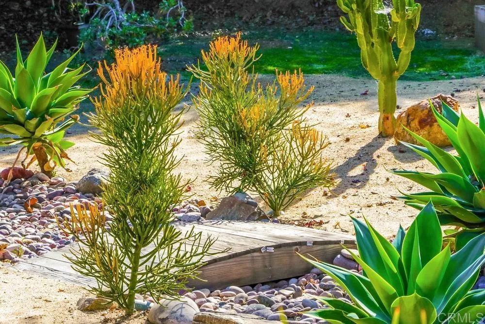 10213 Corte Tierra Baja