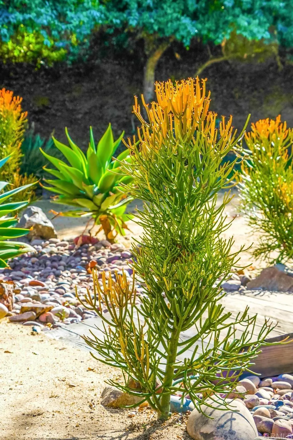 10213 Corte Tierra Baja