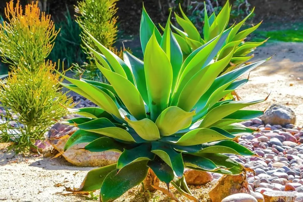 10213 Corte Tierra Baja