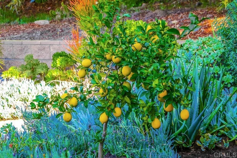 10213 Corte Tierra Baja