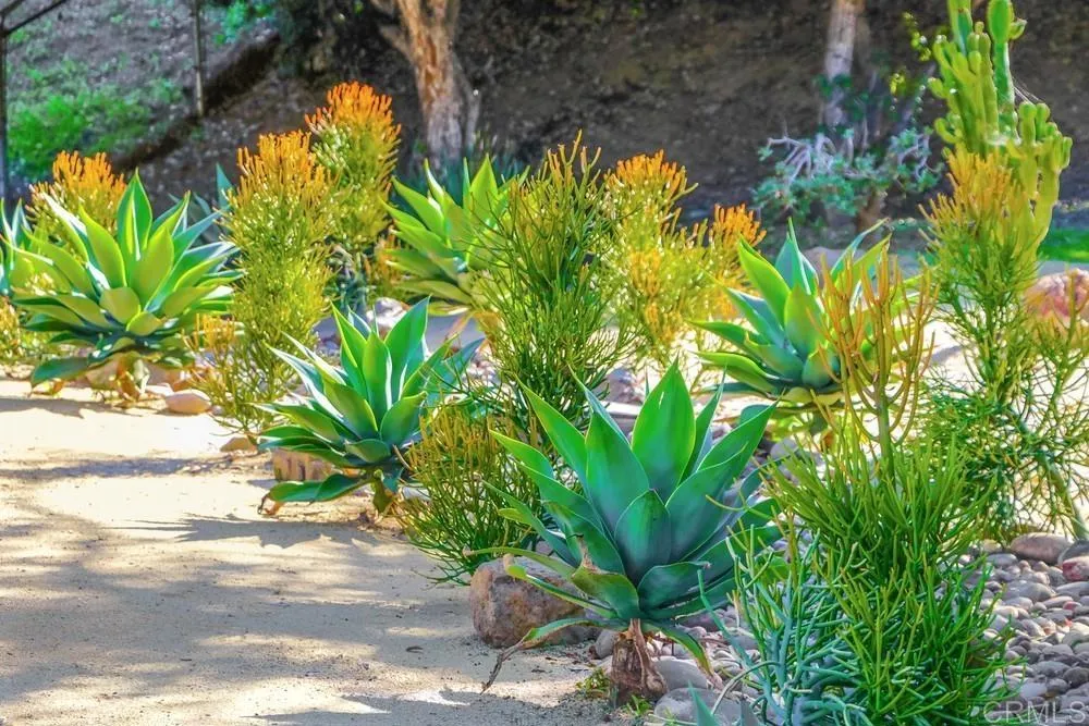 10213 Corte Tierra Baja