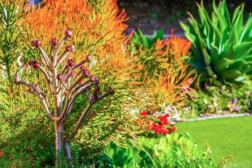 10213 Corte Tierra Baja